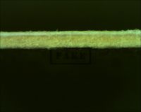 FRANKENSTEIN R1951 HALFSHEET - Here we see a microscope image of the edge of the poster. We can clearly see the layer (pictured here on top) which is comprised of modern paper. Original halfsheet posters are consistent throughout. There should be no layer. (Poster)