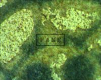 FRANKENSTEIN R1951 HALFSHEET - Here a close up image taken from the realart logo. the light colored splotches are restorative type pigment applied with an airbrush. underneath we can see that the paper color has been printed to appear old to the naked eye. The ink-jet printing patterns mimic the look of old paper. (Poster)
