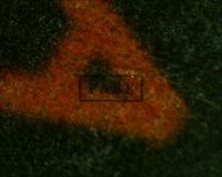 GHOST OF FRANKENSTEIN, scene lobby card - Here is a close up shot of the "A" in which we see the ink-jet printing pattern (Poster)