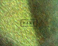 WEREWOLF OF LONDON lobby card - Here is a close up shot of the "A" in A Universal Picture. The image location has been marked on the card, the microscope camera reverses the image. Here we can clearly see the ink jet patterns which mimic the look of naked, aged paper (Poster)