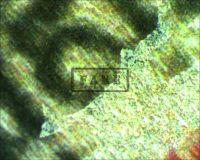 DRACULA one sheet R 47 #1 - Here we see a microscope image of the fine print at the bottom in the word "copyright". We can see the airbrush paint that surrounds the fine print and the original naked paper color showing . We can clearly see the ink jet patterns that mimic the look of old paper (Poster)
