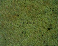 FRANKENSTEIN R47 - Here a microscope image taken from the monster's left eye. Under the powerful magnification we can clearly see the ink jet patterns where only naked, unprinted paper should be. (Poster)