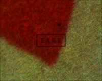 FRANKENSTEIN R47 - Here a microscope image taken from the R IN KARLOFF where the red background meets what should be naked, unprinted paper, again, instead we see the patterns created by a modern ink jet printer (Poster)