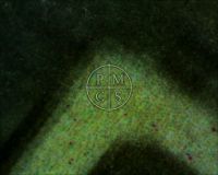 DRACULA LOBBY CARD STAIRS - Here a microscope image taken from the "P" IN "PICTURE". Here we should see raw, naked paper, instead we see the ink jet patterns that mimic the look of old paper. (Poster)