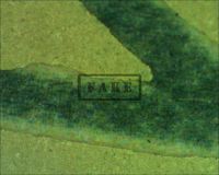 frankenstein title card 003 - Here a microscope image of the "N" in Colin. We can see the ink jet patterns here underneath the thick layer of restoration . (Poster)