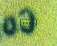 THE RAVEN LOBBY CARD - Here we see the "Co" in the word "copyright" as it appears in the bottom right margin. The camera reverses the image. Here we should see naked, fibrous paper, but instead we can clearly see the patterns and colors created by an ink jet printer (Poster)