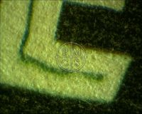 BRIDE OF FRANKENSTEIN - Here is a close up shot taken from the "E" in the word "BRIDE" as it appears in the main title. We see here nice, fibrous paper with authentic analog printing. (Poster)
