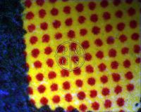 DESTINATION MOON - Microscopic image of the "M" in "Making" where the blue and yellow colors meet. (Poster)