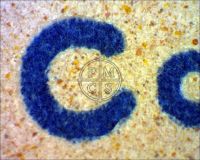 THE WALKING DEAD - A microscope image of the "Co" in "Copyright" as it appears in the bottom right side of the border in the fine print. The speckles surrounding the letters are the result of very light airbrushing in that area. (Poster)