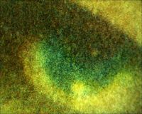 WEREWOLF OF LONDON - Microscopic photograph of the woman's eye (at top right). (Poster)