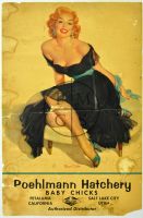 POEHLMANN HATCHERY PIN-UP (Poster)