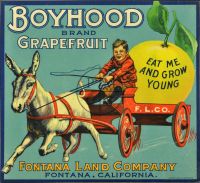 COLLECTION OF CRATE LABELS (Poster)