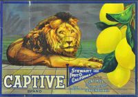 COLLECTION OF CRATE LABELS (Poster)
