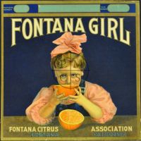 COLLECTION OF CRATE LABELS (Poster)