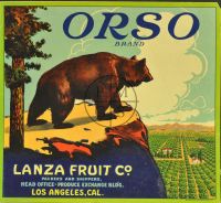 COLLECTION OF CRATE LABELS (Poster)