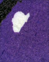 Yellow Submarine - A printing error in one of the purple people's pant legs. (Poster)