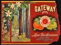 Gateway Brand (Poster)