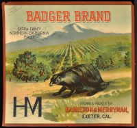 Badger Brand (Poster)