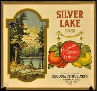 Silver Lake Brand (Poster)