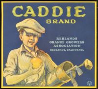 Caddie Brand (Poster)