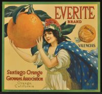 Everite Brand (Poster)