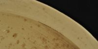 Venus - Before - Close Up (Poster)
